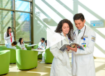 Doctores en diferentes grupos leyendo Doctores en diferentes grupos leyendo